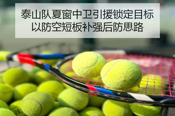 泰山队夏窗中卫引援锁定目标 以防空短板补强后防思路